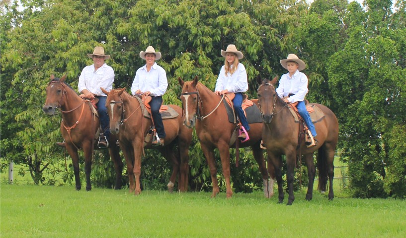 horserides (Small)