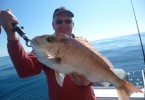 Greg with a quality Snapper. He and a group of old footy team mates from Victoria came up for the week and took home three big foam boxes of frozen fillets.