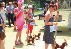 Each year the Sport's Club Melbourne Cup includes horse races from Rainbow Beach stables