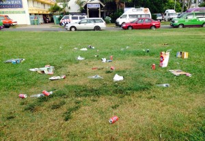 CIRS Rubbish in Park