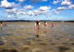 Low tide, Tin Can Bay foreshore - a playground for nature enthusiasts