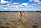 Low tide, Tin Can Bay foreshore - a playground for nature enthusiasts