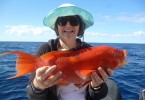 This gold spot wrasse delighted angler Pam from Ireland