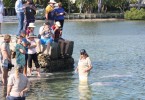 Our Tin Can Bay dolphins were a popular attraction through the holidays, and good numbers of international travellers are visiting daily