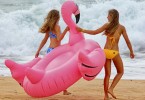 Patsy Brady Flamingo Fun