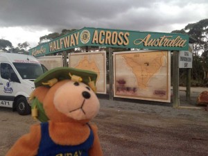Aussie Bear goes West!