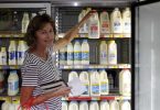 Rosie Stewart selects milk from local farmers