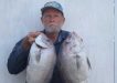 Ron Cox with a couple of big slatey bream that he caught recently in local inside waters