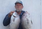 Ron Cox with a couple of big slatey bream that he caught recently in local inside waters