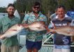 Dan Adamson (centre) and crew from Toowoomba pulled in these snapper at their Christmas party where they held a competition: landscapers versus signwriters
