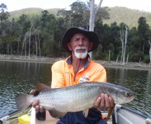 Look at this 60cm saratoga caught by Derek Andrews at Borumba Dam!