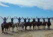 Australian Tourism Export Council (ATEC) buyers attended a post workshop by VSC and DGR here and included a Rainbow Beach horse ride