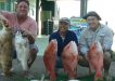 Mick with his cod and 4.7kg pearl perch, Nguyen and his father with a nice haul.