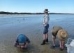 Bonnie Prior and Ian Smith inspect seagrass samples while Cat Shaw looks over to our feathered visitors