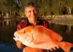 Stephen Atkins was happy with this red emperor