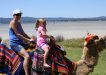 The 2017 Tin Can Bay Seafood Festival is set to be the best yet. Wynetta and Skye Duggan took the camel train around the foreshore last year, and the day out is definitely one of the highlights of the year!