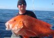 Jeremy Cawley, very happy with a beautiful Rainbow Beach red emperor at 14.5kg and July's winner