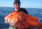 Jeremy Cawley, very happy with a beautiful Rainbow Beach red emperor at 14.5kg and July's winner