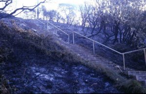 The steps didn’t stop the fire in 1984 - it’s hard to believe these are the same steps which are now brightly painted in all colours of the rainbow!