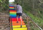 Well done, Team Rainbow. The stairs leading to the patrol tower and beach from Lawrie Hanson Park were painted in the colours of a rainbow, last month. When this photo was taken, delighted German tourists were photographing the steps.