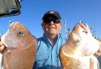 Rick and his family were treated with plenty of quality snapper in mixed bag on board Baitrunner.