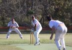 There'll be just as much action as last year, see our local Cricket Club in action