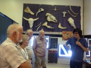 Our group listens to the guide, Daniel, at the Gympie Bone Museum
