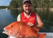 A PB red emperor for Mick