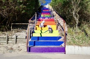 The Rainbow Beach stairs as they are today with some helpful ‘extras’ who were happy to be in the photo - Photo Courtesy of Garry Hewitt