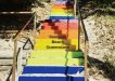 The Stairs with the words Rainbow Beach, Queensland have now been approved (image only for story purposes)