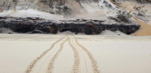 Turtle tracks spotted just south of Mudlow Rocks, Rainbow Beach 