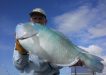 Tin Can Bay Fishing Club - A beaut 71cm Black Spot TuskFish caught and released in the Sandy Straits by Tin Can Bay Fishing Club member Ron Cox