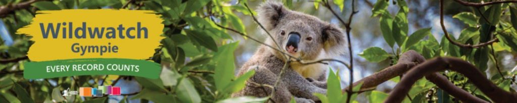 The Wildwatch Gympie is a fantastic site to share animal sightings, the location, the condition of the animals and it is all recorded to help our wildlife