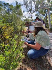 Artist, Sandra Ross (left), in the field, with wildflowering workshop participants. Image by Melissa Stannard