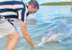 Daniel Lavoura from Brazil visited the region recently to see the dolphins and visit the famous Cooloola Coast