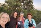 Sue Davis, Linda Tabe, Ellen Appleby, and Joolie Gibbs will be leading walks or workshops at Wildflowering Cooloola on August 7