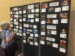 The display of winning photos at QCWA State Conference 2021.