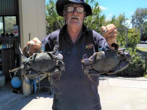 Crabs for Christmas! Caught 22 December by Malcom Kay using fish frames