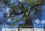Arboreal Connections at Gympie Gallery