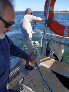 Coastcare VP Tony Galea and scientist Dr James Udy deploying the seagrass sled 
