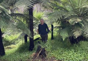  Our new local wood detective Phil amongst some tree ferns