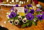 Get your entries ready for the ever-popular CCLAC Flower Show!