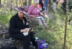 Nature journaling at Cooloola Bioblitz 2021, including artist Sue Davis. Join us in November for this year’s event.