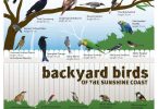 Register for the Aussie Bird Count!
