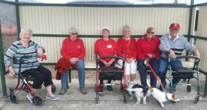 Jo, Chris, Judy, Joan, Val, and Albert and pups waiting to Wheelie Walk from the Cooloola Cove Shopping Centre bus shelter.
