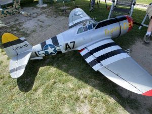 Best Monoplane and also Pilot’s Choice winner: P-47 Thunderbolt belonging to Mick Ryan