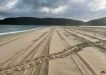 This photo shows the turtle tracks crossing the 4WD tracks - taken at Double Island last December. Keep an eye out for similar tracks and report them to TurtleCare. Photo source: TurtleCare FB group