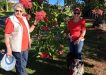 Yvonne, Jenise, and Marley admire the flowering gum on a recent walk.