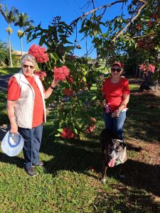 Yvonne, Jenise, and Marley admire the flowering gum on a recent walk.