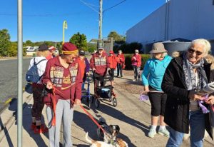 Fourteen CCWWalkers setting off, with Val and Albert best dressed for the State of Origin, and elegant Rosalie up front